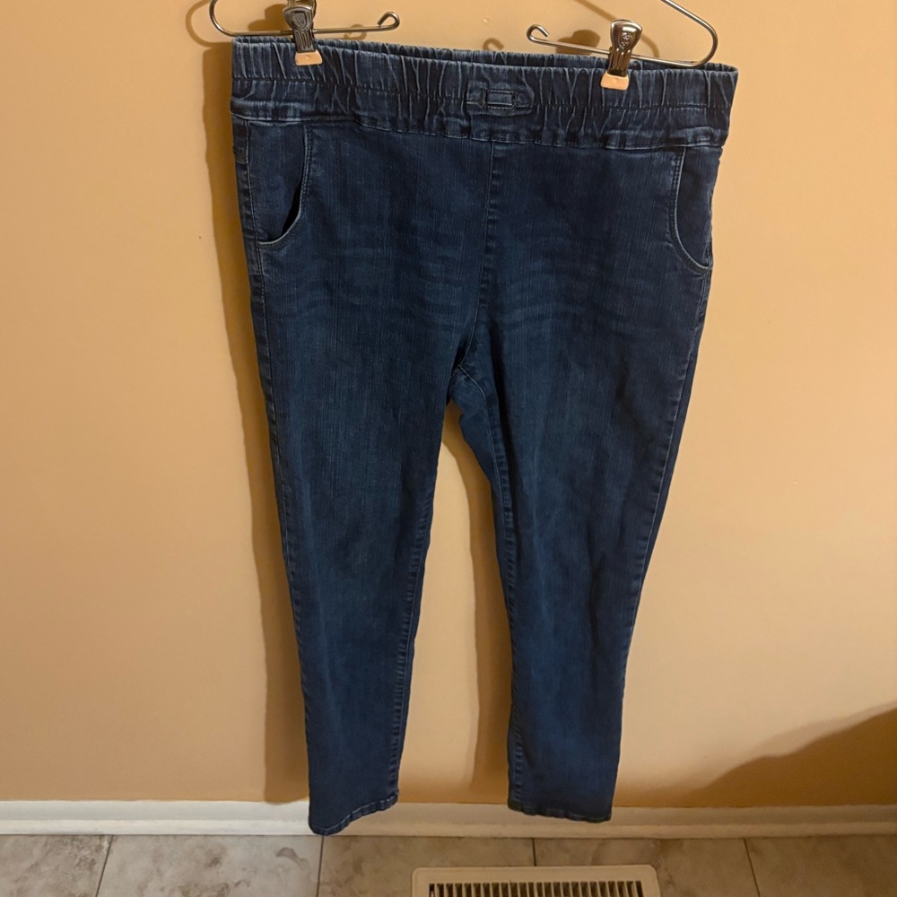 Bevy Flog denim pull on pants